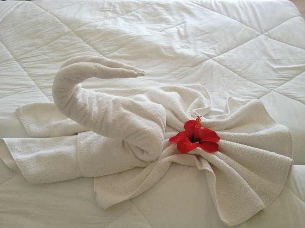 Hotel Aurora สกาอูรี ภายนอก รูปภาพ